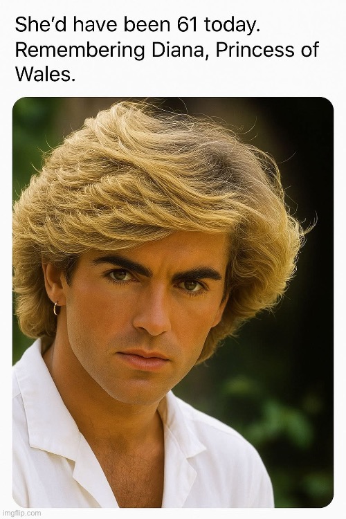 Princess Diana | image tagged in diana,princess | made w/ Imgflip meme maker