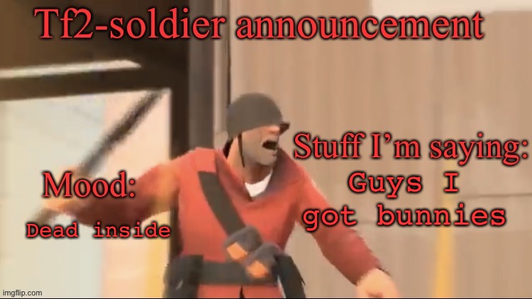 Tf2-soldier announcement | Dead inside; Guys I got bunnies | image tagged in tf2-soldier announcement | made w/ Imgflip meme maker