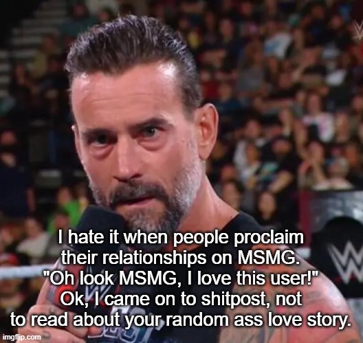 Get a room, please. | I hate it when people proclaim their relationships on MSMG. "Oh look MSMG, I love this user!" Ok, I came on to shitpost, not to read about your random ass love story. | image tagged in cm punk | made w/ Imgflip meme maker