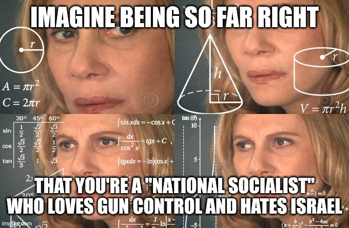 When they say Nazism is far right | IMAGINE BEING SO FAR RIGHT THAT YOU'RE A "NATIONAL SOCIALIST" WHO LOVES GUN CONTROL AND HATES ISRAEL | image tagged in lady doing math | made w/ Imgflip meme maker