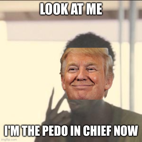 Stop taking about Epstein!!! | LOOK AT ME; I'M THE PEDO IN CHIEF NOW | image tagged in memes,look at me | made w/ Imgflip meme maker