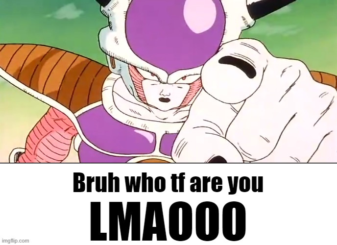 Bruh who tf are you LMAOOO | image tagged in bruh who tf are you lmaooo | made w/ Imgflip meme maker