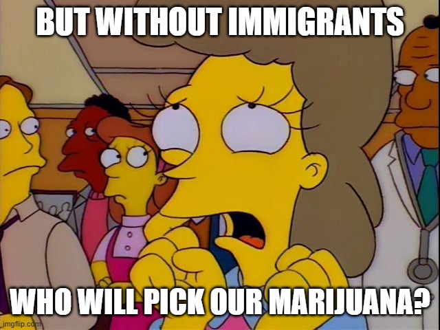 Helen Lovejoy - Children | BUT WITHOUT IMMIGRANTS WHO WILL PICK OUR MARIJUANA? | image tagged in helen lovejoy - children | made w/ Imgflip meme maker