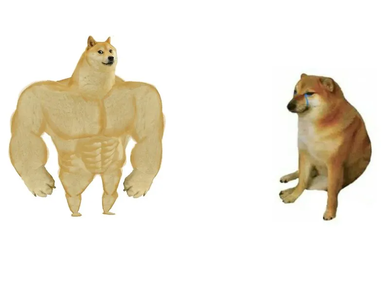 big doge Blank Meme Template