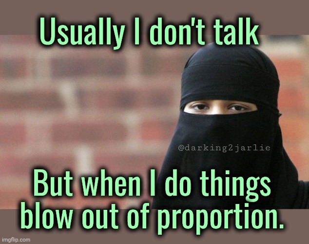 She's Reich. | Usually I don't talk; @darking2jarlie; But when I do things blow out of proportion. | image tagged in not funny burka,muslim,islam,dark humor | made w/ Imgflip meme maker