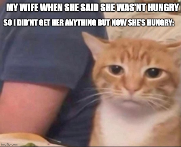 so true.. | MY WIFE WHEN SHE SAID SHE WAS'NT HUNGRY; SO I DID'NT GET HER ANYTHING BUT NOW SHE'S HUNGRY: | image tagged in funny,wife,so true memes,angry wife,husband wife,happy house wife | made w/ Imgflip meme maker