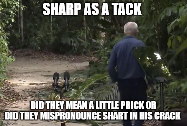 SHARP AS A TACK; DID THEY MEAN A LITTLE PRICK OR DID THEY MISPRONOUNCE SHART IN HIS CRACK | made w/ Imgflip meme maker