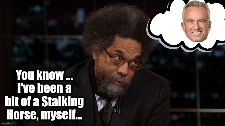 You know ... I've been a bit of a Stalking Horse, myself... | image tagged in cornel west | made w/ Imgflip meme maker