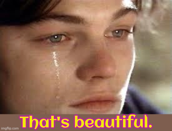 That's beautiful. | image tagged in it's beautiful | made w/ Imgflip meme maker