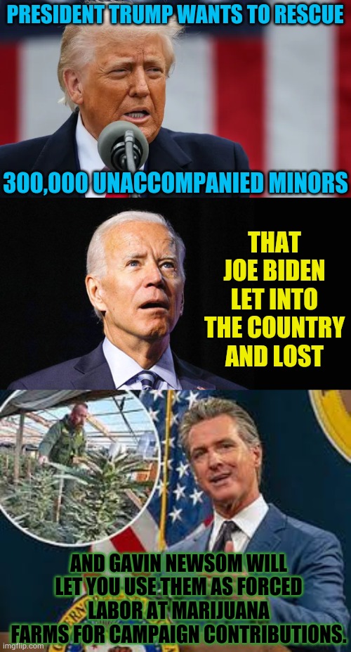 Do You See a Difference? | PRESIDENT TRUMP WANTS TO RESCUE; 300,000 UNACCOMPANIED MINORS; THAT JOE BIDEN LET INTO THE COUNTRY AND LOST; AND GAVIN NEWSOM WILL LET YOU USE THEM AS FORCED LABOR AT MARIJUANA FARMS FOR CAMPAIGN CONTRIBUTIONS. | image tagged in memes,president trump,confused joe biden,gavin,spot the difference,politics | made w/ Imgflip meme maker