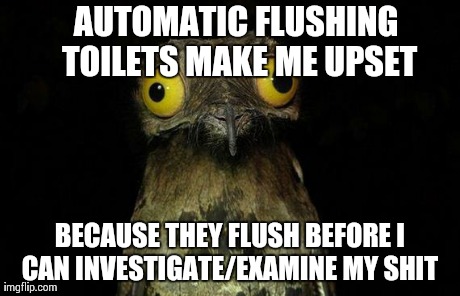 Weird Stuff I Do Potoo Meme | AUTOMATIC FLUSHING TOILETS MAKE ME UPSET BECAUSE THEY FLUSH BEFORE I CAN INVESTIGATE/EXAMINE MY SHIT | image tagged in memes,weird stuff i do potoo,AdviceAnimals | made w/ Imgflip meme maker