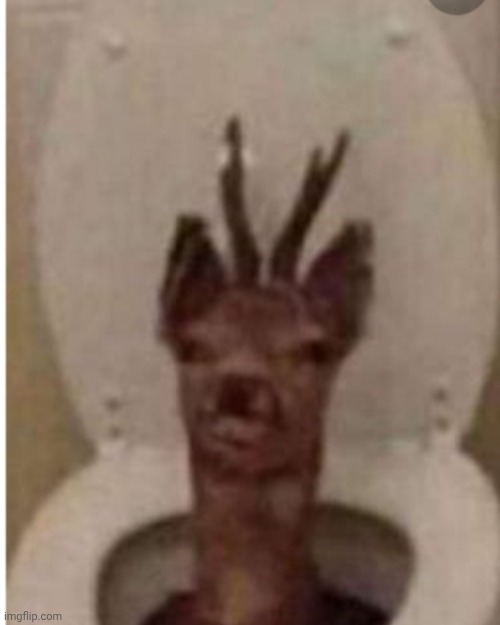 Diddlebug | image tagged in deertoilet | made w/ Imgflip meme maker