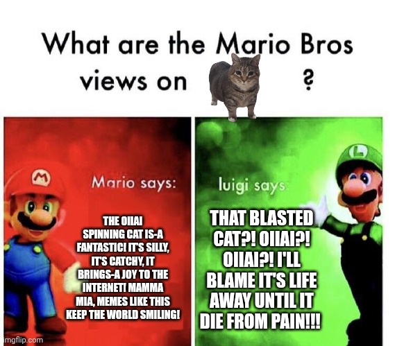 Yeetus that memeus | THE OIIAI SPINNING CAT IS-A FANTASTIC! IT’S SILLY, IT’S CATCHY, IT BRINGS-A JOY TO THE INTERNET! MAMMA MIA, MEMES LIKE THIS KEEP THE WORLD SMILING! THAT BLASTED CAT?! OIIAI?! OIIAI?! I'LL BLAME IT'S LIFE AWAY UNTIL IT DIE FROM PAIN!!! | image tagged in mario bros views,spinning cat,luigi | made w/ Imgflip meme maker