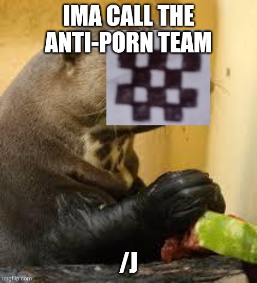 Disgusted Otter | IMA CALL THE ANTI-PORN TEAM /J | image tagged in disgusted otter | made w/ Imgflip meme maker