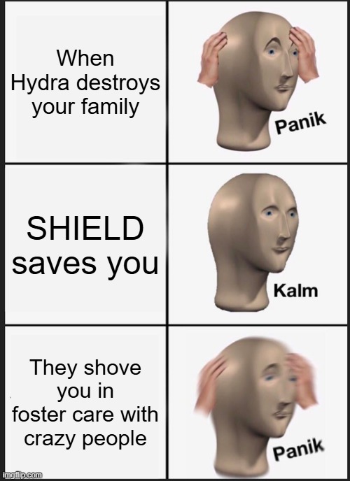 Panik Kalm Panik Meme | When Hydra destroys your family; SHIELD saves you; They shove you in foster care with crazy people | image tagged in memes,panik kalm panik | made w/ Imgflip meme maker