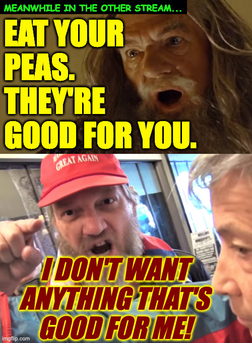 People won't try fresh peas when all they know is canned. | MEANWHILE IN THE OTHER STREAM... EAT YOUR
PEAS.
THEY'RE
GOOD FOR YOU. I DON'T WANT
ANYTHING THAT'S
GOOD FOR ME! | image tagged in angry trump supporter,memes,it's a metaphor,but just barely | made w/ Imgflip meme maker