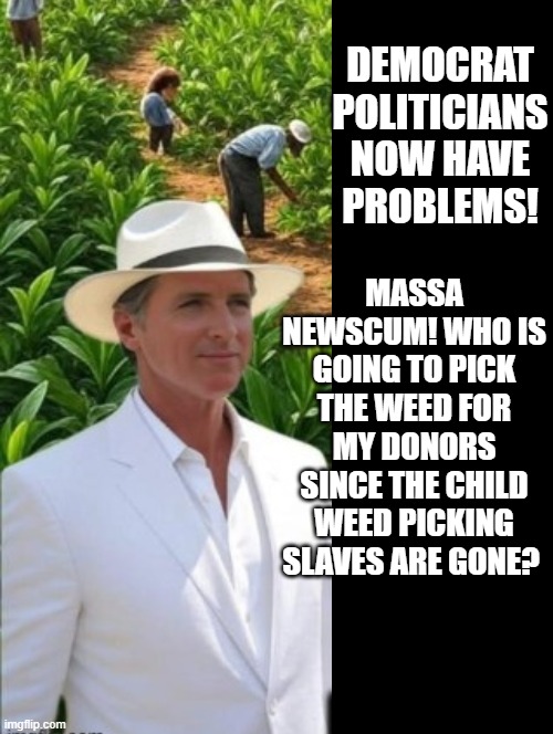 Who is going to pick my donors weed, after their child slaves are rescued? | DEMOCRAT POLITICIANS NOW HAVE PROBLEMS! MASSA NEWSCUM! WHO IS GOING TO PICK THE WEED FOR MY DONORS SINCE THE CHILD WEED PICKING SLAVES ARE GONE? | image tagged in slaves | made w/ Imgflip meme maker
