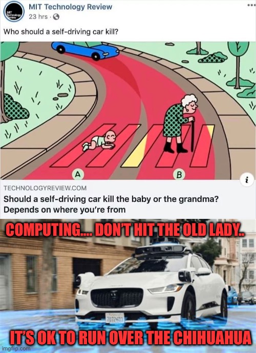 Trust me, they still don’t have all the bugs worked out of the self driving auto software. | COMPUTING…. DON’T HIT THE OLD LADY.. IT’S OK TO RUN OVER THE CHIHUAHUA | image tagged in self driving,prioritize,ethics,differentiate,child,dog | made w/ Imgflip meme maker