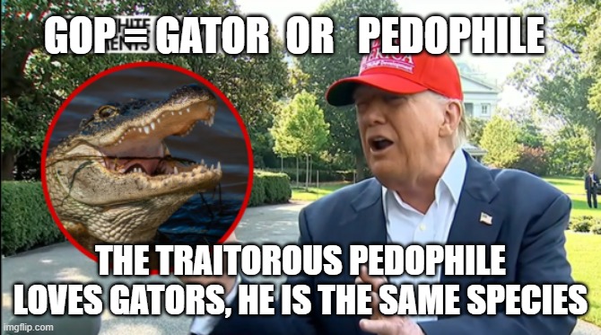 Gator Or Pedophile | GOP = GATOR  OR   PEDOPHILE; THE TRAITOROUS PEDOPHILE LOVES GATORS, HE IS THE SAME SPECIES | image tagged in gator or pedophile | made w/ Imgflip meme maker