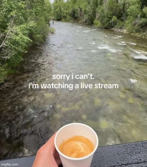 Water you doing? | image tagged in memez,streem | made w/ Imgflip meme maker