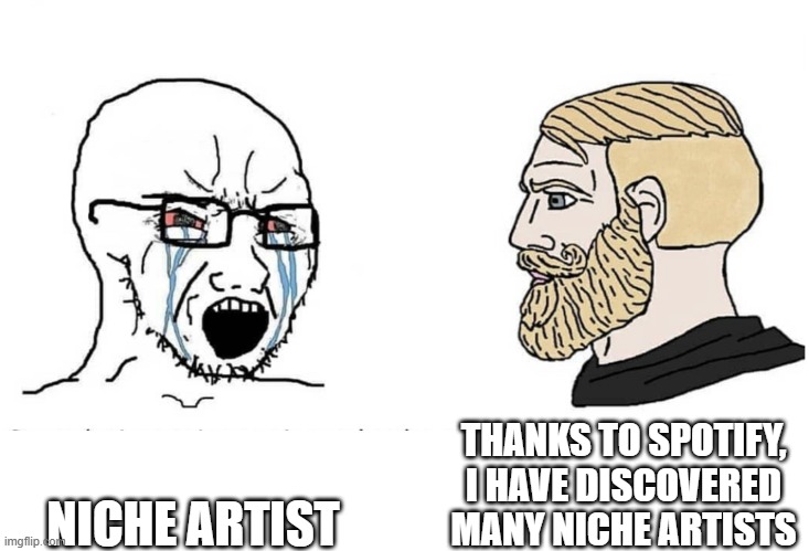 niche artist | THANKS TO SPOTIFY, I HAVE DISCOVERED MANY NICHE ARTISTS; NICHE ARTIST | image tagged in soyboy vs yes chad,niche artist,spotify | made w/ Imgflip meme maker
