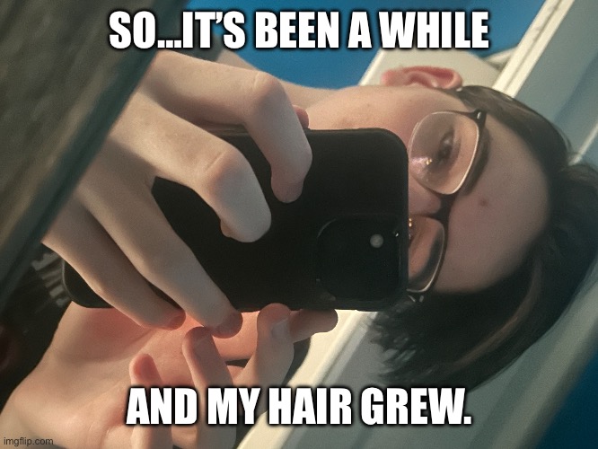 SO…IT’S BEEN A WHILE; AND MY HAIR GREW. | image tagged in return of the mac | made w/ Imgflip meme maker