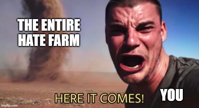 HERE IT COMES! | THE ENTIRE HATE FARM YOU | image tagged in here it comes | made w/ Imgflip meme maker