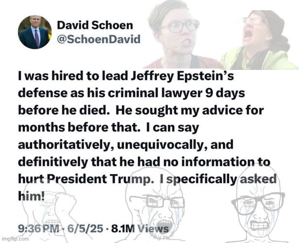 Inconvenient Tweet | image tagged in david schoen,trump,epstein | made w/ Imgflip meme maker