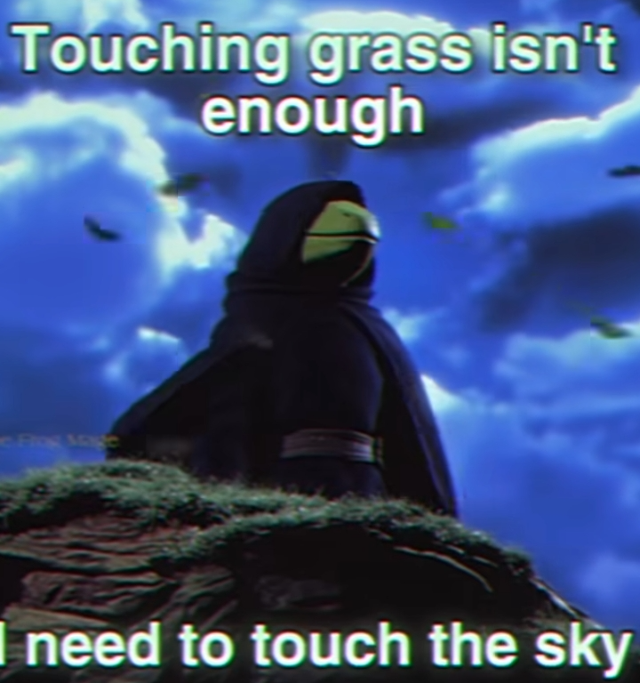 Touching grass isn't enough, I need to touch the sky Blank Meme Template