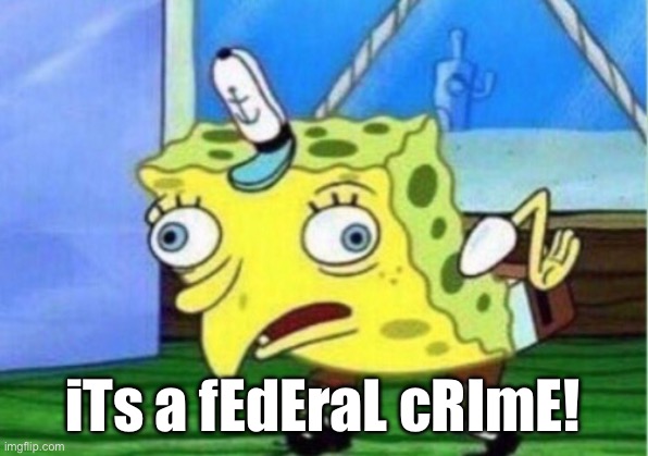 Mocking Spongebob Meme | iTs a fEdEraL cRImE! | image tagged in memes,mocking spongebob | made w/ Imgflip meme maker
