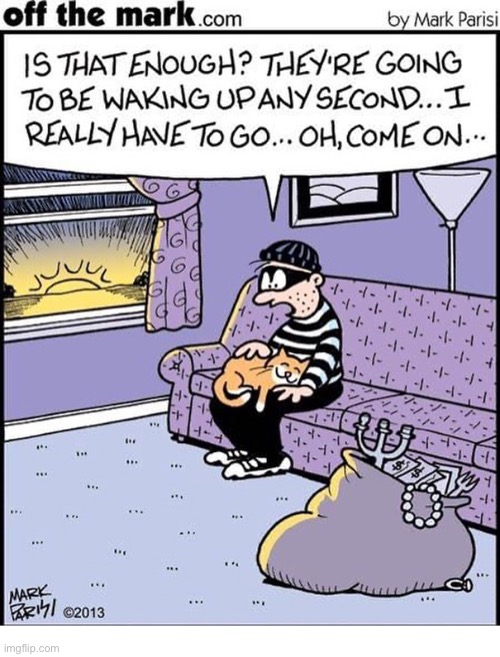 Of all the houses he could’ve chosen to rob… | image tagged in cats,comics,off the mark,burglar | made w/ Imgflip meme maker