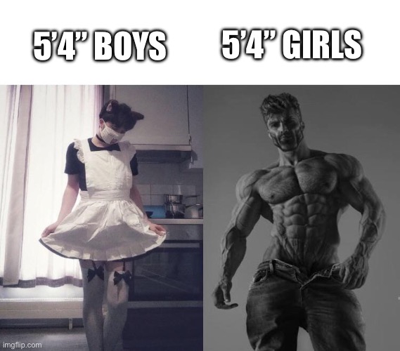 Giga chad vs femboy | 5’4” BOYS 5’4” GIRLS | image tagged in giga chad vs femboy | made w/ Imgflip meme maker