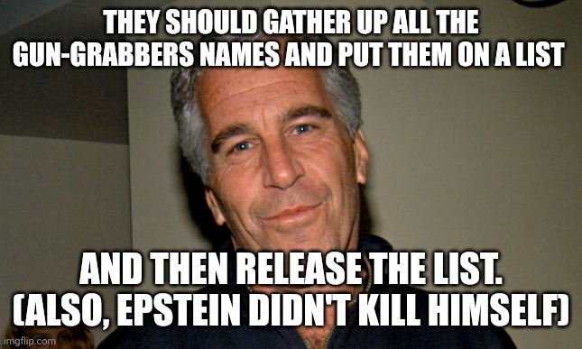 THEY SHOULD GATHER UP ALL THE GUN-GRABBERS NAMES AND PUT THEM ON A LIST AND THEN RELEASE THE LIST.
(ALSO, EPSTEIN DIDN'T KILL HIMSELF) | image tagged in jeffrey epstein | made w/ Imgflip meme maker