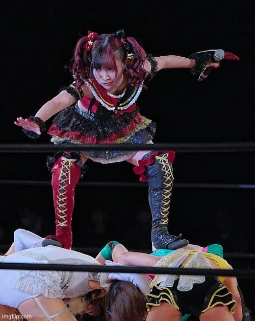 japanese wrestling has some random ahh moments | image tagged in japan,japanese,wrestling,pose | made w/ Imgflip meme maker