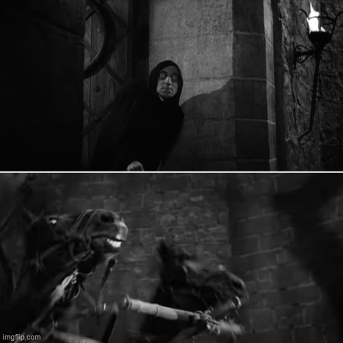 Igor Blucher | image tagged in young frankenstein | made w/ Imgflip meme maker