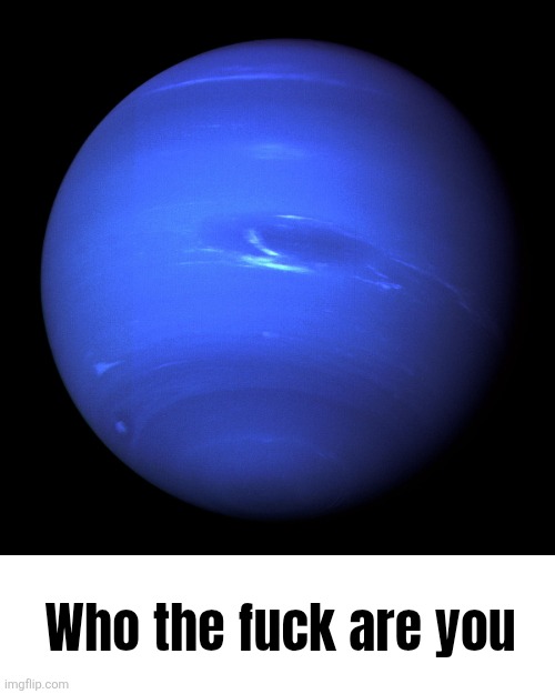 Who the fuck are you | image tagged in neptune | made w/ Imgflip meme maker