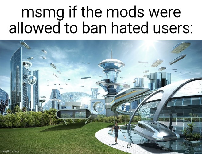 Life if | msmg if the mods were allowed to ban hated users: | image tagged in life if | made w/ Imgflip meme maker
