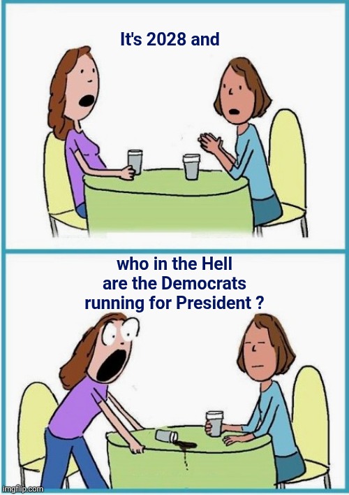 Versus | It's 2028 and who in the Hell are the Democrats running for President ? | image tagged in versus | made w/ Imgflip meme maker