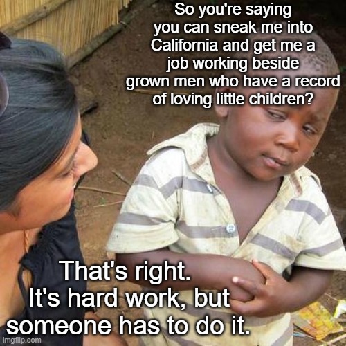 Democrats defending this is abhorant. | So you're saying you can sneak me into California and get me a job working beside grown men who have a record of loving little children? That's right.  It's hard work, but someone has to do it. | image tagged in memes,third world skeptical kid | made w/ Imgflip meme maker