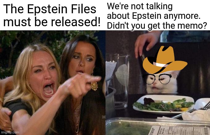 TDS explains eveything | We're not talking about Epstein anymore. Didn't you get the memo? The Epstein Files 
must be released! | image tagged in memes,woman yelling at cat | made w/ Imgflip meme maker