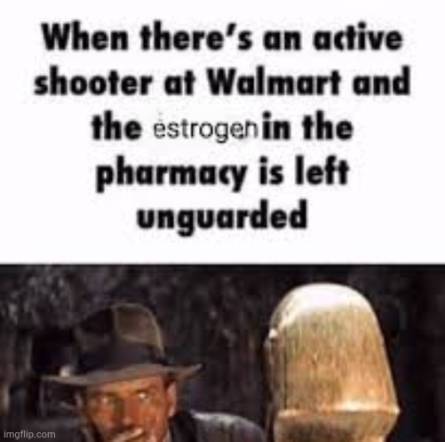 image tagged in estrogen | made w/ Imgflip meme maker