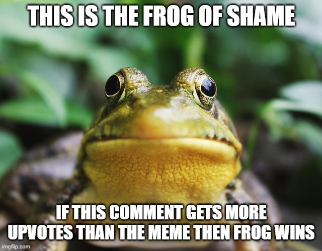 Frog of Shame | THIS IS THE FROG OF SHAME IF THIS COMMENT GETS MORE UPVOTES THAN THE MEME THEN FROG WINS | image tagged in frog of shame | made w/ Imgflip meme maker
