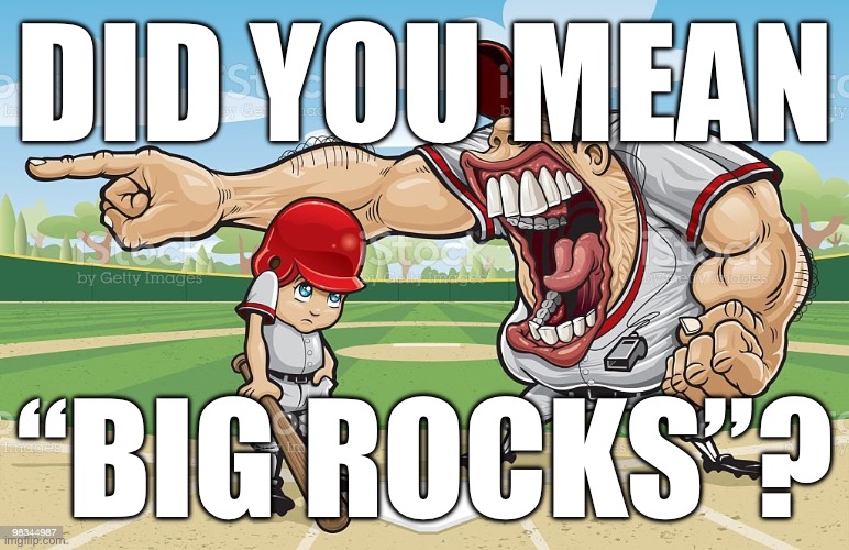 Baseball coach yelling at kid | DID YOU MEAN; “BIG ROCKS”? | image tagged in baseball coach yelling at kid | made w/ Imgflip meme maker