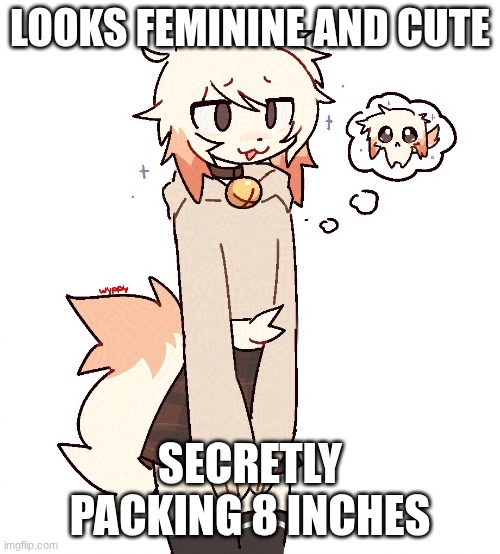 femboy | LOOKS FEMININE AND CUTE; SECRETLY PACKING 8 INCHES | image tagged in femboy | made w/ Imgflip meme maker