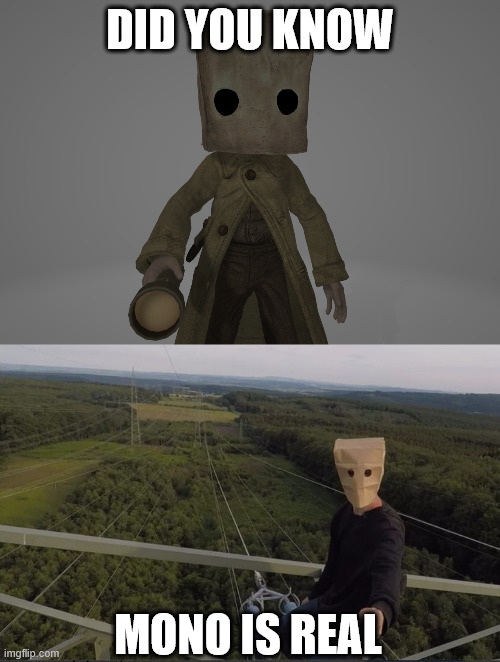 Mono, Little Nightmares 2. | DID YOU KNOW; MONO IS REAL | image tagged in lattice climbing,creepypasta,climbing,mono,gaming,little nightmares | made w/ Imgflip meme maker