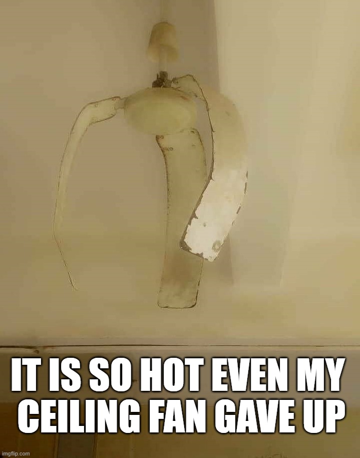 IT IS SO HOT EVEN MY 
CEILING FAN GAVE UP | image tagged in i give up | made w/ Imgflip meme maker