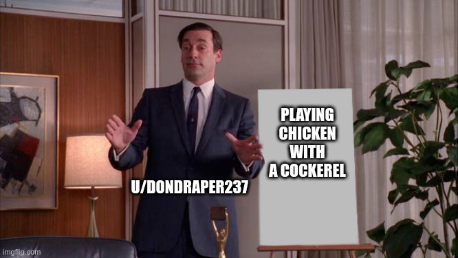 X but Y | PLAYING CHICKEN WITH A COCKEREL; U/DONDRAPER237 | image tagged in x but y | made w/ Imgflip meme maker