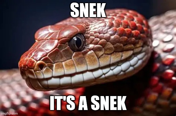Snek | SNEK; IT'S A SNEK | image tagged in snek | made w/ Imgflip meme maker