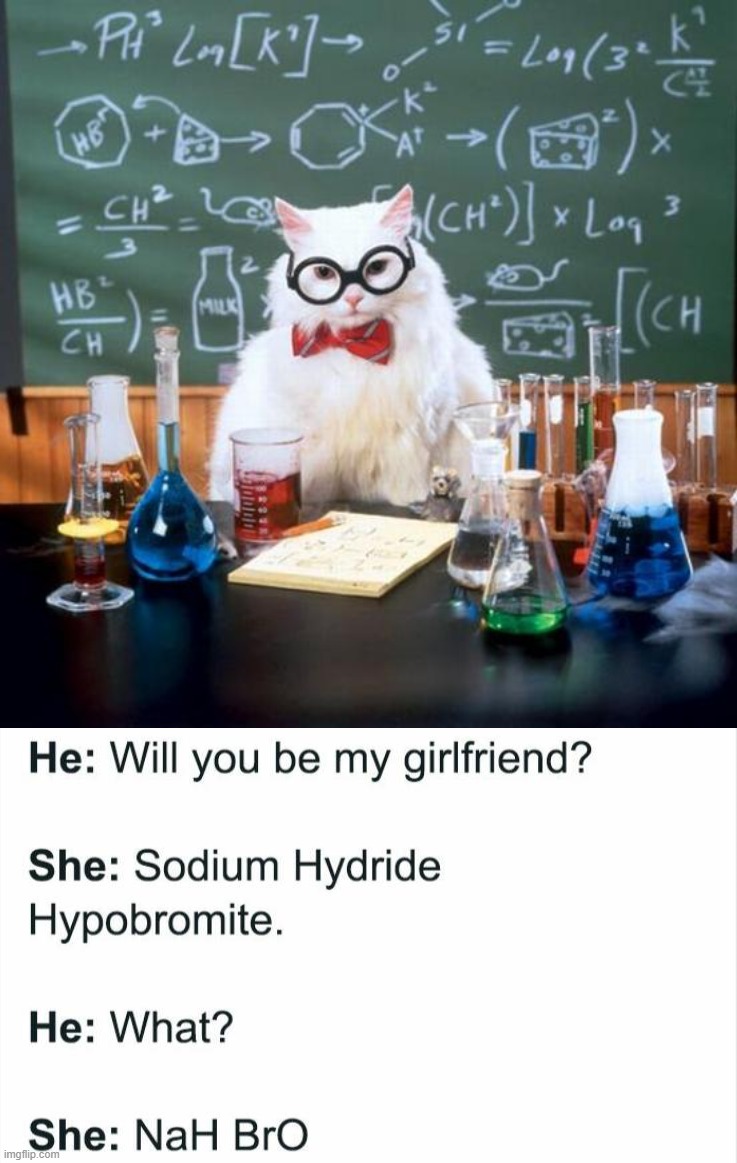 image tagged in memes,chemistry cat | made w/ Imgflip meme maker
