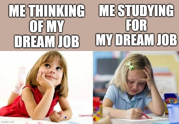 ME THINKING OF MY DREAM JOB; ME STUDYING FOR MY DREAM JOB | image tagged in job | made w/ Imgflip meme maker